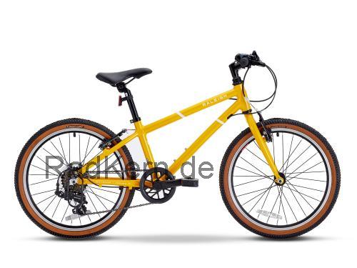 Raleigh Pop 20 technische daten